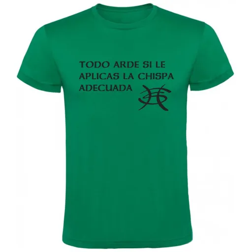 Camiseta Heroes del Silencio todo arde